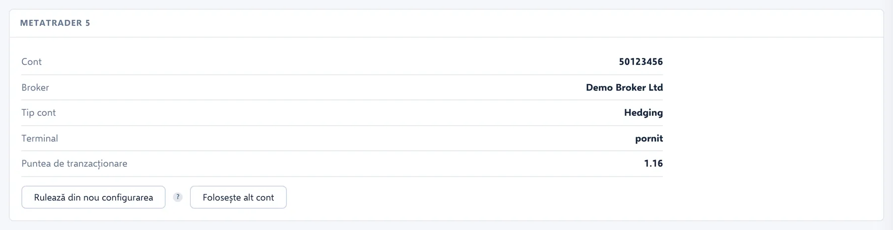Caseta MetaTrader 5 din pagina Conexiuni, cu contul, brokerul, tipul de cont, starea terminalului și versiunea punții de tranzacționare